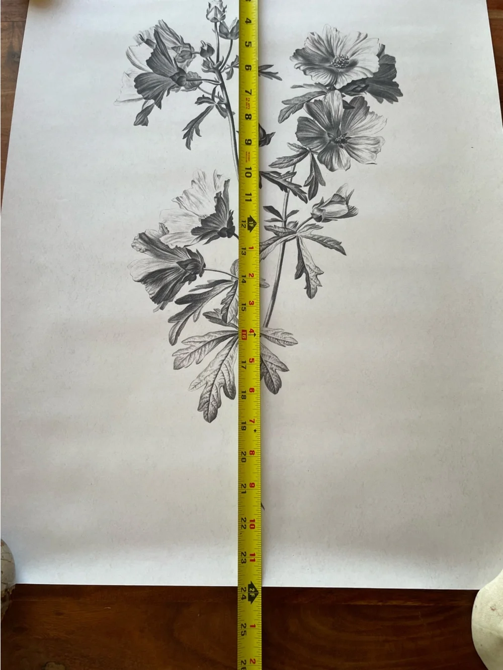 Large Botanical Floral Wall Art Print Illustration in Black and White